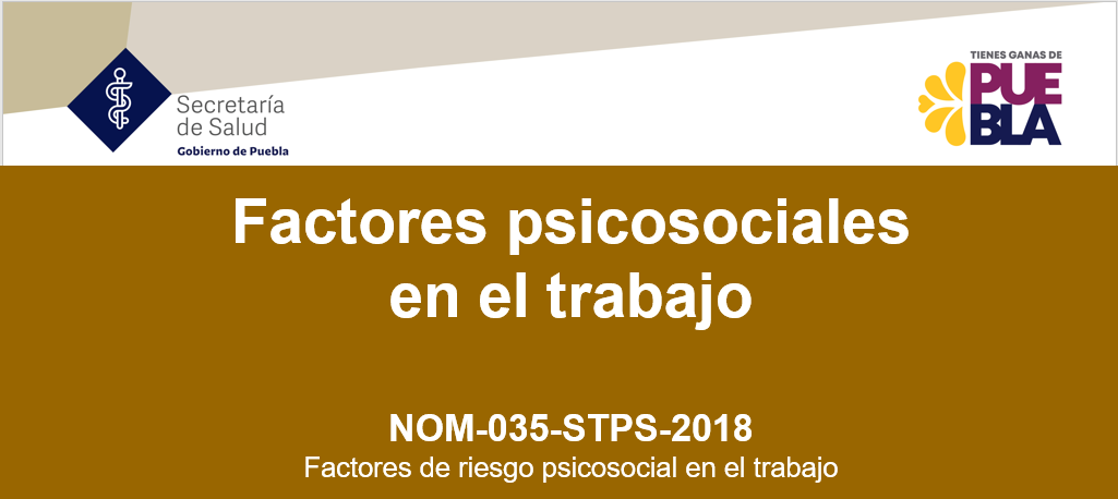 Factores psicosociales en el trabajo NOM-035-STPS-2018 FRP_0001