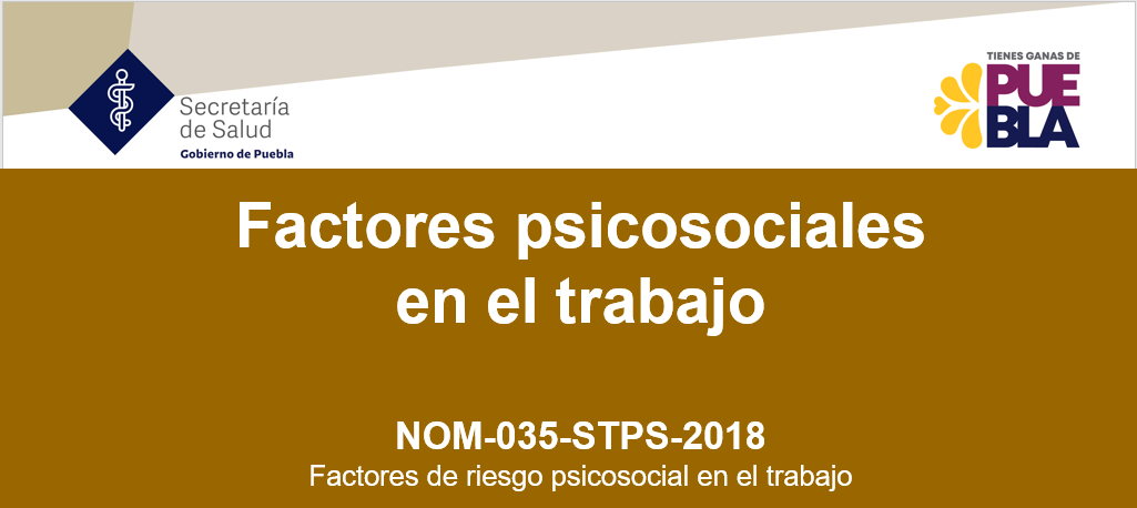 Factores psicosociales en el trabajo NOM-035-STPS-2018_2024_octubre 24 FRP_0002