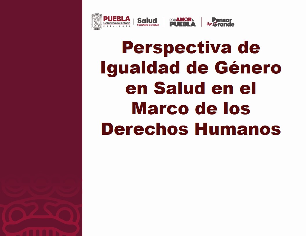 Perspectiva de igualdad de género en salud  en el marco de los derechos humanos 2025_Octubre PIG_0002