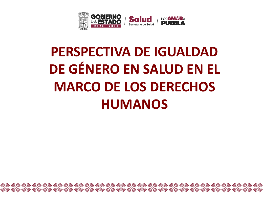Perspectiva de igualdad de género en salud  en el marco de los derechos humanos 2026 PIG_0002