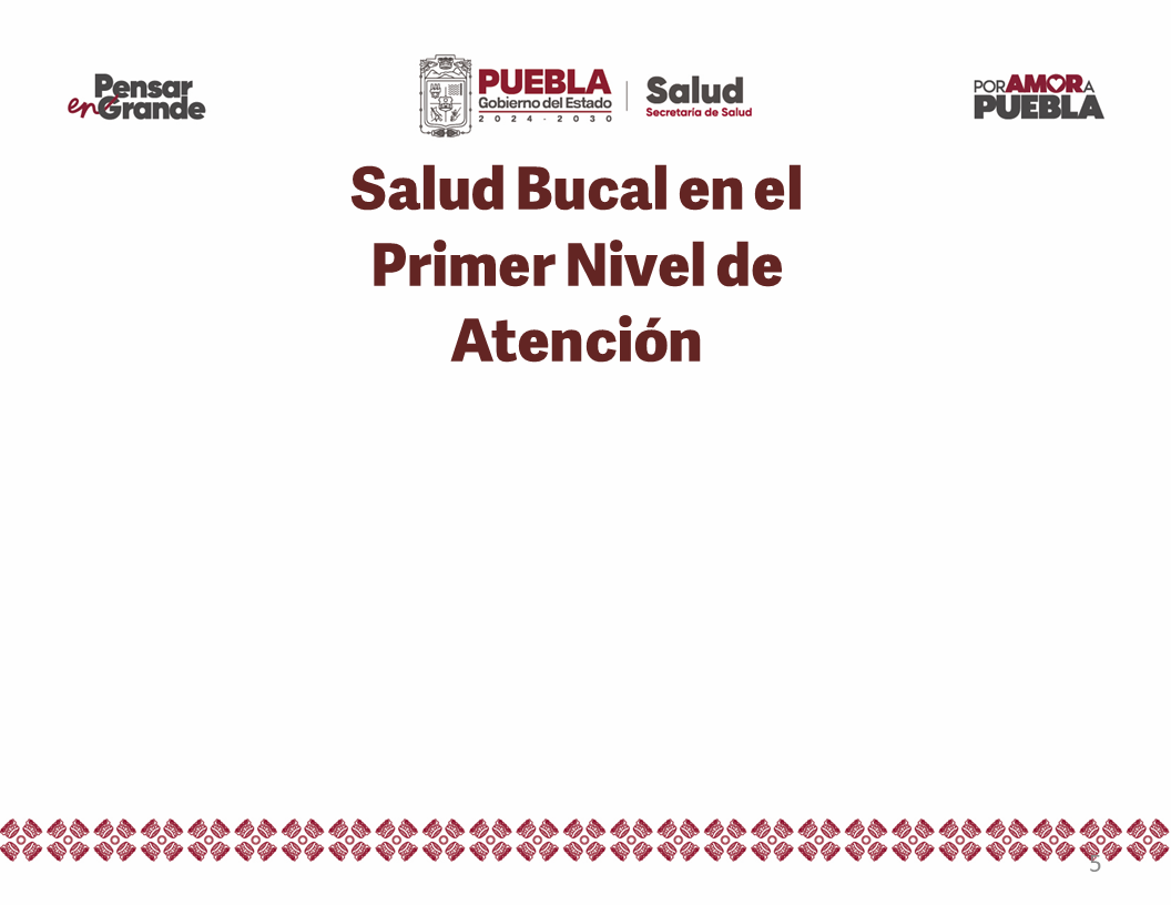 Salud Bucal en el Primer Nivel de Atención SB_0001