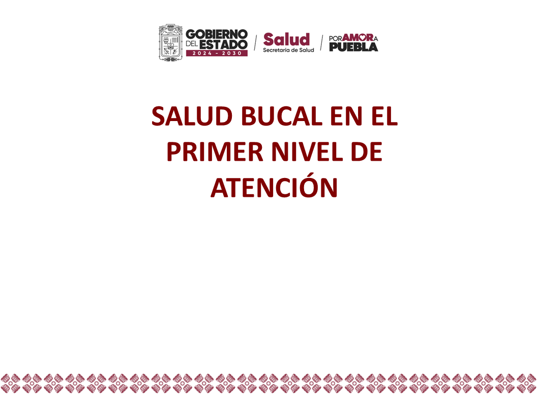 Salud Bucal en el Primer Nivel de Atención_2026 SB_001